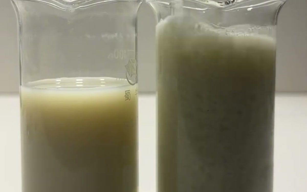 Oily Wastewater Treatment — PAC + PAM Flocculation